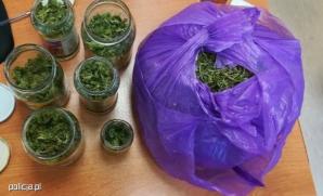 Kolejny sukces Lidii - znowu wywęszyła narkotyki