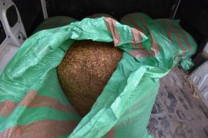 [VIDEO] Zlikwidowano nielegalną fabrykę tytoniu