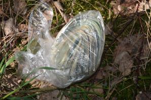 [VIDEO] Zlikwidowano nielegalną fabrykę tytoniu