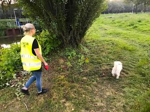 [VIDEO] RUTKOWSKI: Dawid Szustak mógł znaleźć się w wodach dużego i żeglownego kanału Amsterdam-Ren.  Jego telefon zamilkł w noc zaginięcia