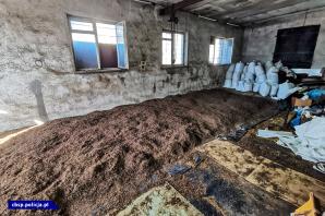 [VIDEO] Walka z przestępczością tytoniową ogranicza szarą strefę. W tym przemyt papierosów z Litwy przez Polskę do Europy Zachodniej 