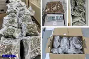 Wspólna akcja CBŚP i Guardia Civile z Hiszpanii. Oskarżenia wobec 12 osób