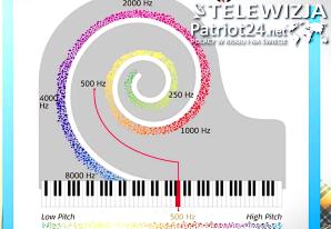   [VIDEO] Słyszę ludzi ale ich nie rozumiem. Dlaczego tak się dzieje? Nowy cykl: „Wykłady Marty Szkiełka”. To wybitna protetyk słuchu, technik audiologiczny, andragog z Żar w województwie lubuskim