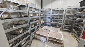 [VIDEO] Chemicy zaskoczeni podczas produkcji narkotyków. Akcja mazowieckich policjantów na terenie powiatu grójeckiego