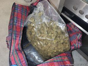 [VIDEO] 30 kilogramów narkotyków chowali w kartonach i walizkach podróżnych