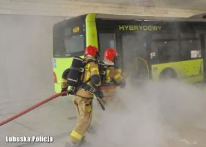 [VIDEO] Lubuska Policja: Ćwiczymy, by stawać się bardziej skutecznym w zapewnianiu bezpieczeństwa