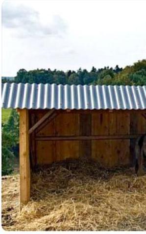 Mam na imię Witek. Kocham konie. 