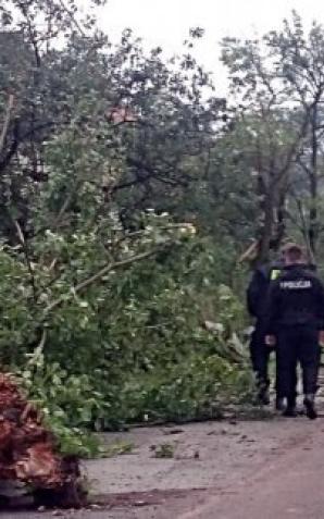 Jak się zachować w czasie burzy