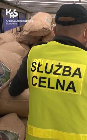 [VIDEO] Nielegalne papierosy za ponad 5 mln zł zamiast kory ogrodowej