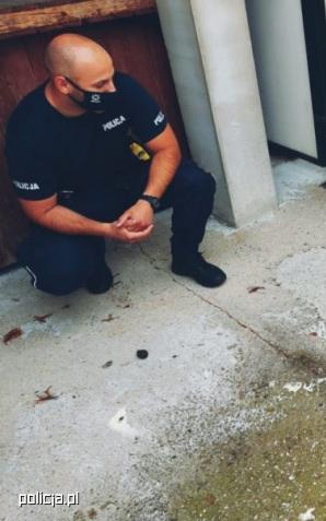 Policjanci interweniowali wobec… bociana. Ptak noc spędził w komendzie