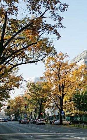 Minister Zbigniew Rau uda się z wizytą do Rygi. Szefowie polskiej i łotewskiej dyplomacji omówią najważniejsze zagadnienia stosunków dwustronnych oraz aktualnej agendy międzynarodowej, w tym sytuację na Białorusi i Ukrainie.