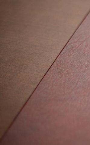 Szef MSWiA rozmawiał z ministrami spraw wewnętrznych: Niemiec, Słowenii i Ukrainy na temat sytuacji na granicy polsko-białoruskiej