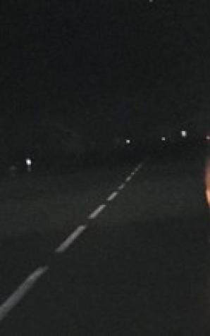  Koń bez prawidłowego oświetlenia na drodze