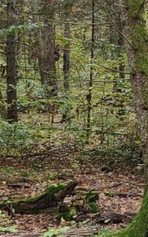 Egipt, Sudan, Jemen, Irak , Syria, Algieria, Iran, Afganistan, Somalia, Mozambik. Kolejny szturm na granicy Polski i Białorusi