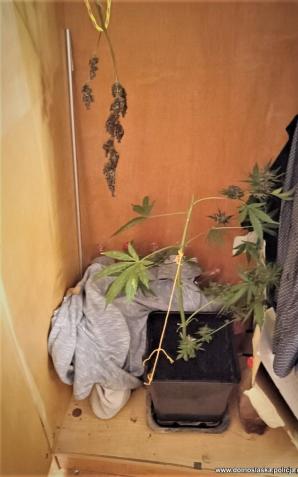 Jeśli palisz na ulicy, nie hoduj w domu. Tato z córką już to wiedzą