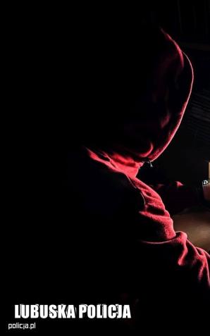 Oszust internetowy skasowany