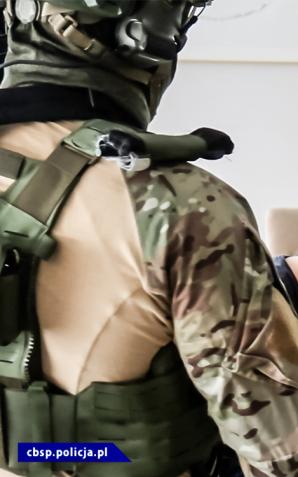 Wspólna akcja CBŚP i Guardia Civile z Hiszpanii. Oskarżenia wobec 12 osób