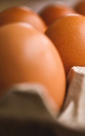 Ukradł 800 jajek. Więcej rozbił niż doniósł