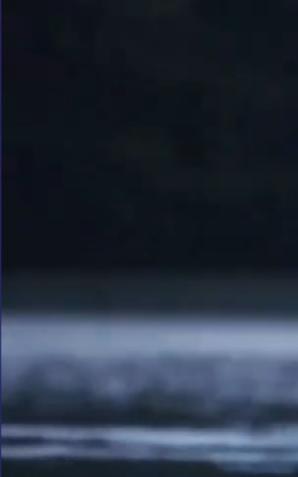 [VIDEO] Rybak śródlądowy – zawód z tradycją i przyszłością