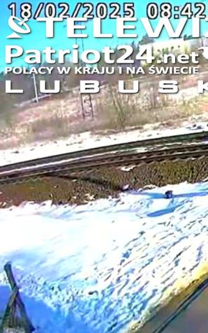 [VIDEO] Świebodzin: kierowca wjechał w bok pociągu