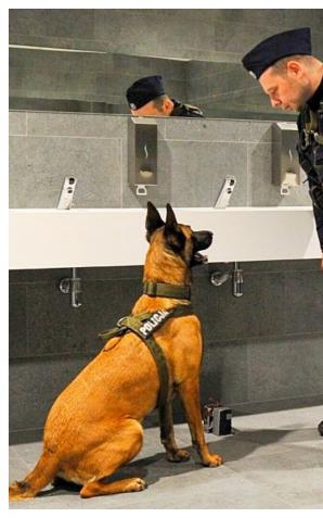 [VIDEO] Lubuska Policja: Ćwiczymy, by stawać się bardziej skutecznym w zapewnianiu bezpieczeństwa