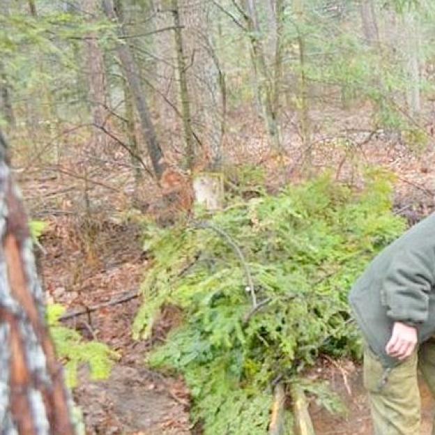 Sprzątnęli po huraganie, zaczynają sadzić las 