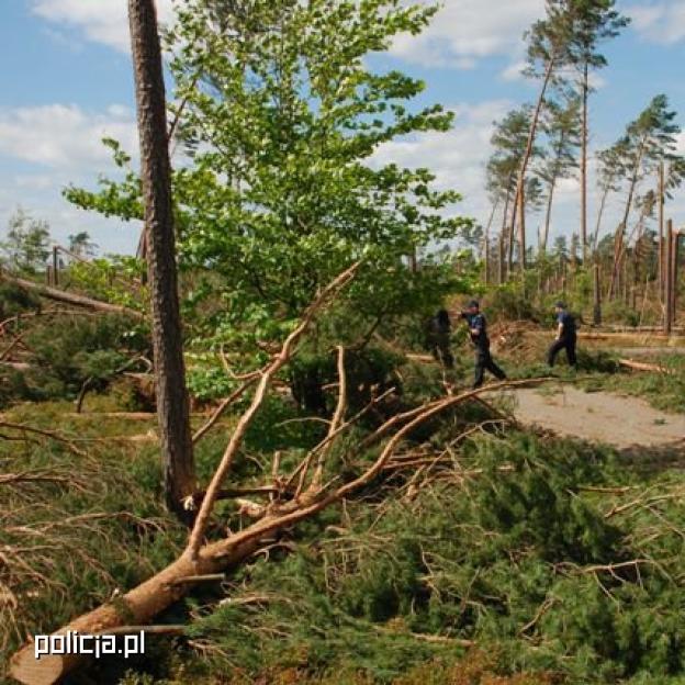 Podsumowanie działań po przejściu nawałnicy przez Pomorze