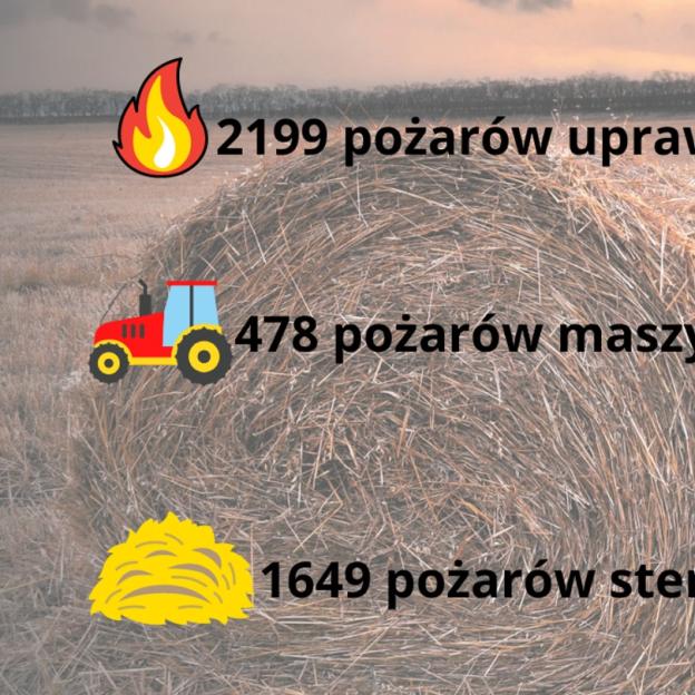 Niebezpieczne pożary upraw rolnych