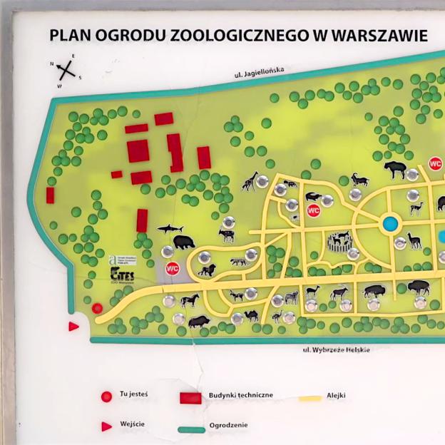 [VIDEO] Problemy finansowe i braki kadrowe uderzają w warszawskie zoo. Konieczne wstrzymanie inwestycji i ograniczanie liczby zwierząt