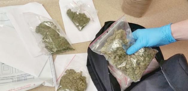 Wolsztyn 112 – Policyjny pies znalazł narkotyki w tapczanie! 