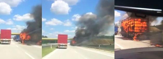 [VIDEO] Ogromny pożar przyczepy na drodze S8 w okolicach Złoczewa