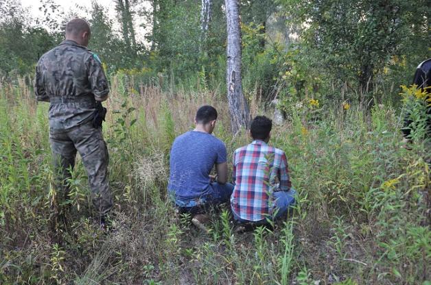 Syryjczycy i Ormianie nielegalnie przez granicę z Ukrainy do Polski