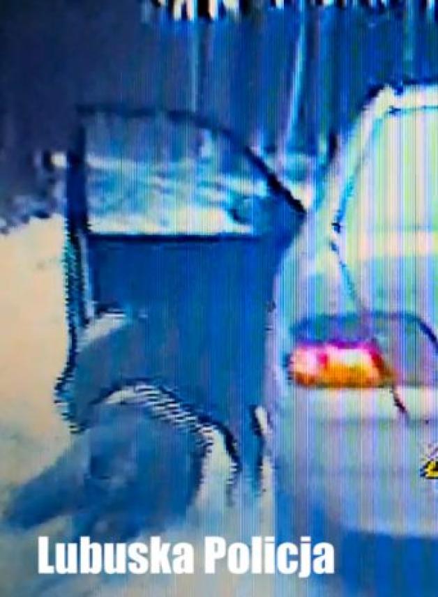 [VIDEO] Lubuskie: Skuteczny pościg policji. Uciekinier wyskoczył z jadącego auta!