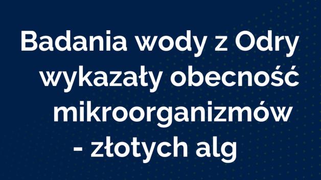 Badania wody z Odry wykazały obecność mikroorganizmów - złotych alg