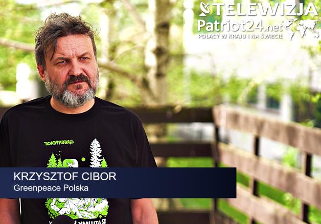 [VIDEO] Greenpeace: Prawie 6 tys. ciężarówek pełnych drzew wyjeżdża codziennie z polskich lasów. Wycinki trwają tam, gdzie nie wolno