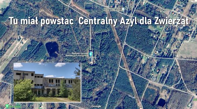 Powołano kierownictwo Centralnego Azylu dla Zwierząt