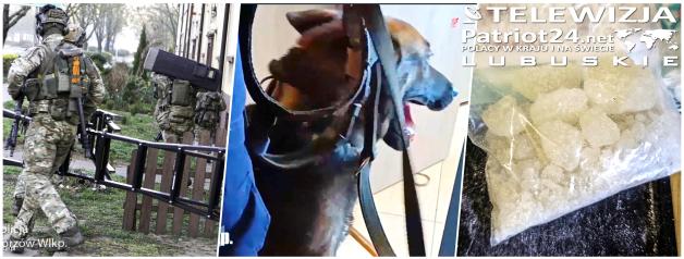 [VIDEO] Zakazane środki i podejrzenie broni. Interwencja kontrterrorystów w mieszkaniu